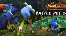 Warlords of Draenor Battle Pet Guide Warlords of Draenor Battle Pet Guide