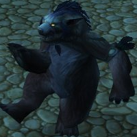 Feral healing touch macros. These won't .. /cast [stance:1] Frenzied  Regeneration. IM kind of new to druids, so dont hate me for asking this.