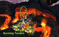 Dragon Soul - Spine of Deathwing - Burning Tendon