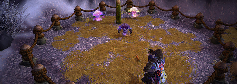 12312-patch-62-pet-battle-preview.jpg