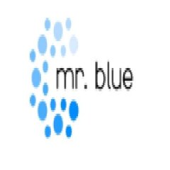 mrblue