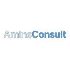aminsconsult