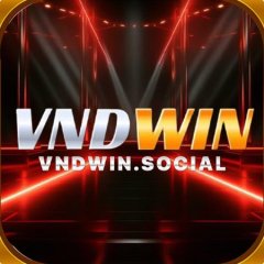 vndwinsocial