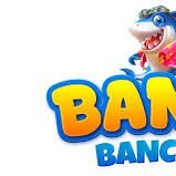 bancaac