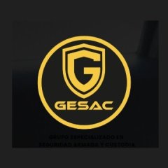 gesacseguridad