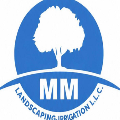 madnipools