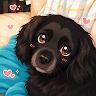 Tokki