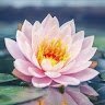 Sevenmentorpriya