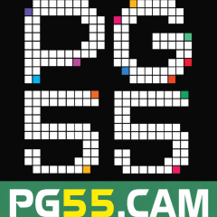 pg55cam