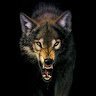 StoneWolf